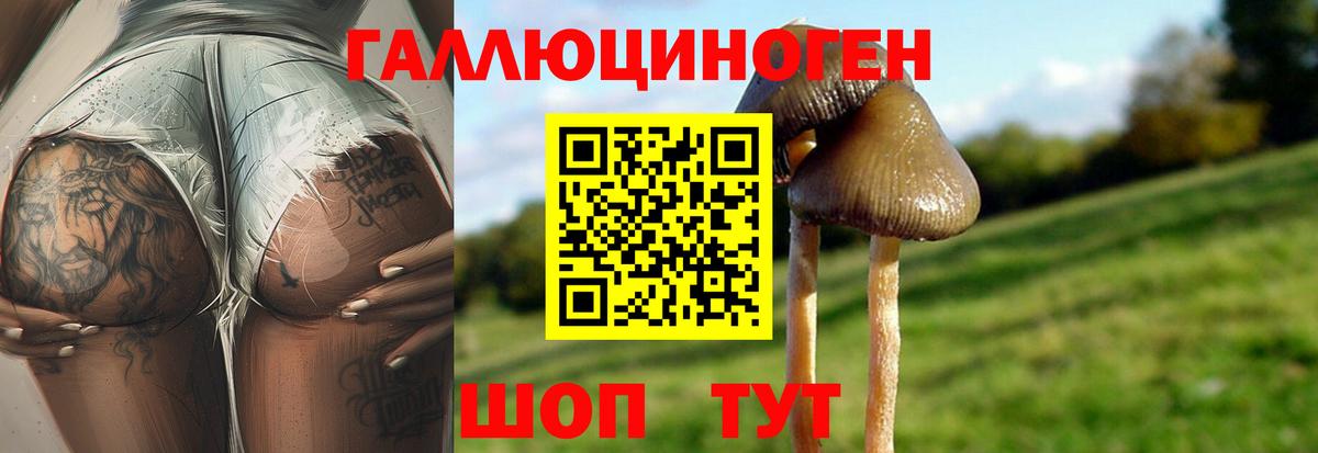 Галлюциногенные грибы Psilocybine cubensis Альметьевск